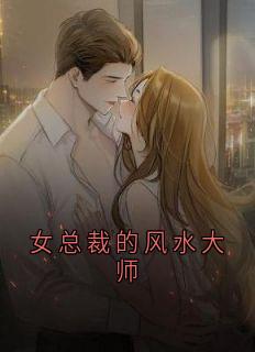 女总裁的风水大师