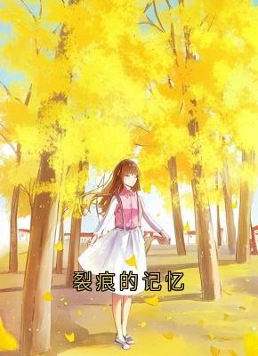 裂痕的记忆