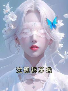 沈砚辞苏晚