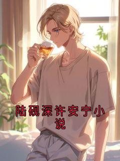 陆砚深许安宁小说