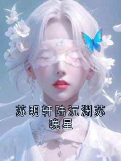苏明轩陆沉渊苏晚星