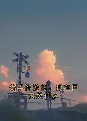 分手你说的，现在回来哭什么