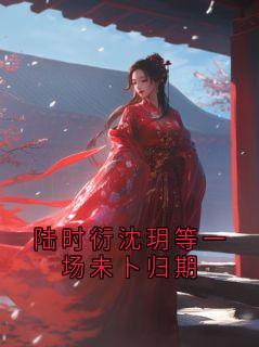陆时衍沈玥等一场未卜归期