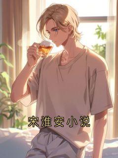 宋淮安小说