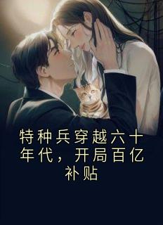 特种兵穿越六十年代，开局百亿补贴