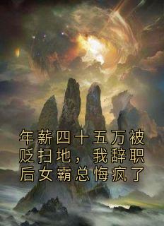 年薪四十五万被贬扫地，我辞职后女霸总悔疯了