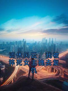 调休风云，我被猝死女主拽去复仇