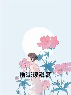 航班惊魂夜