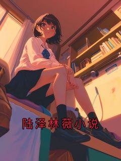 陆泽林薇小说
