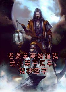 老婆拿离婚逼我给小舅子买车，我秒签字