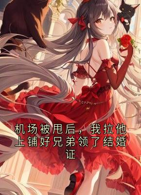 机场被甩后，我拉他上铺好兄弟领了结婚证