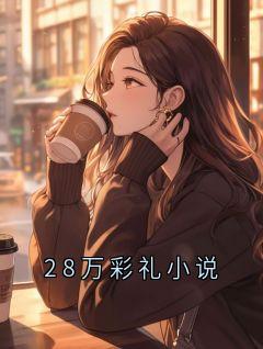 28万彩礼小说
