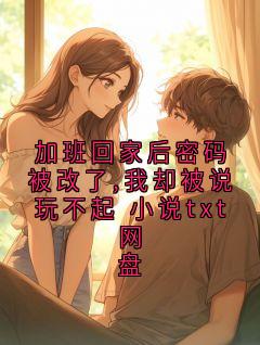 加班回家后密码被改了,我却被说玩不起 小说txt网盘