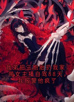 我弟把三胞胎扔我家，带女主播自驾88天，我报警他疯了