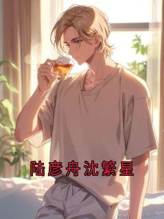 陆彦舟沈繁星
