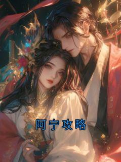 阿宁攻略