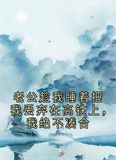 老公趁我睡着把我丢弃在高铁上，我绝不凑合