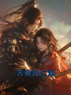 苏晚陆沉渊