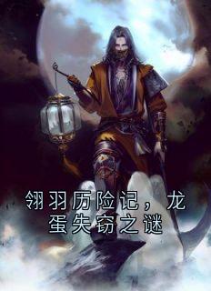 翎羽历险记，龙蛋失窃之谜