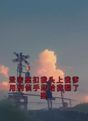 泄密案扣我头上我爹用刑侦手段给我翻了案