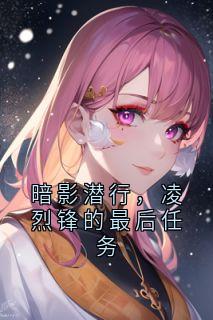 暗影潜行，凌烈锋的最后任务
