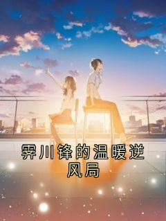 霁川锋的温暖逆风局
