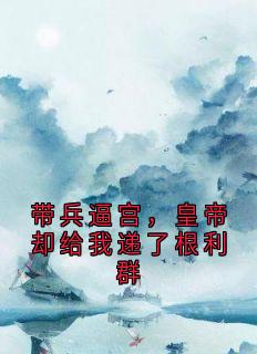 带兵逼宫，皇帝却给我递了根利群