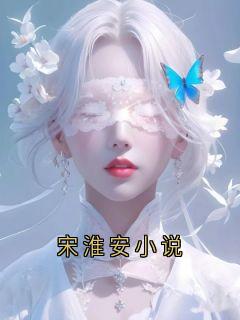 宋淮安小说