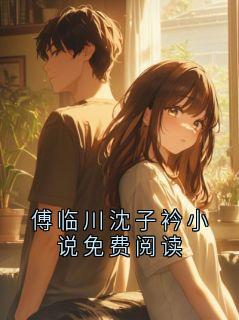 傅临川沈子衿小说免费阅读