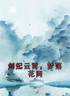 剑起云霄，梦落花间