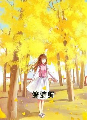 清洁师