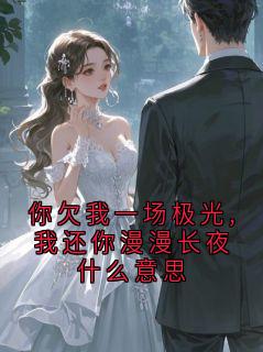 你欠我一场极光,我还你漫漫长夜什么意思