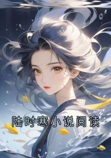 陆时寒小说阅读