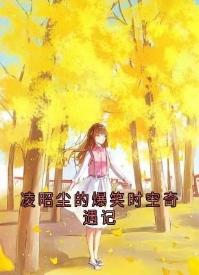 凌昭尘的爆笑时空奇遇记