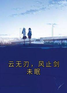 云无刃，风止剑未眠