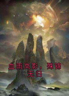 血雨岚影，殊锦无归