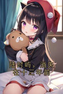 陆时屿，消失在十三年前