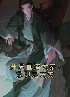 开局重演大秦，我即是天灾