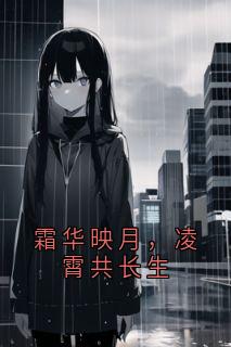 霜华映月，凌霄共长生