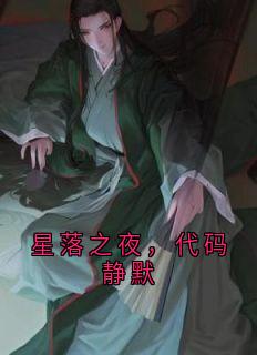 星落之夜，代码静默