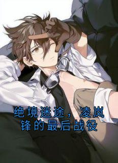 绝境迷途，凌岚锋的最后战役
