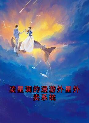 凌星澜的漫游外星外卖系统