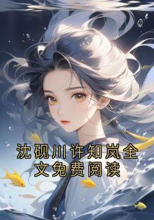 沈砚川许知岚全文免费阅读