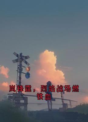 岚锋霆，烈焰战场燃铁血