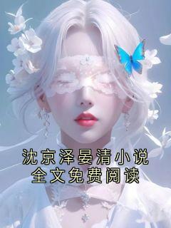沈京泽晏清小说全文免费阅读