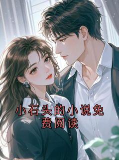 小石头的小说免费阅读