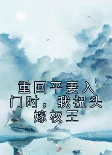 重回平妻入门时，我扭头嫁权王