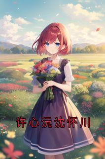 许心沅沈怀川